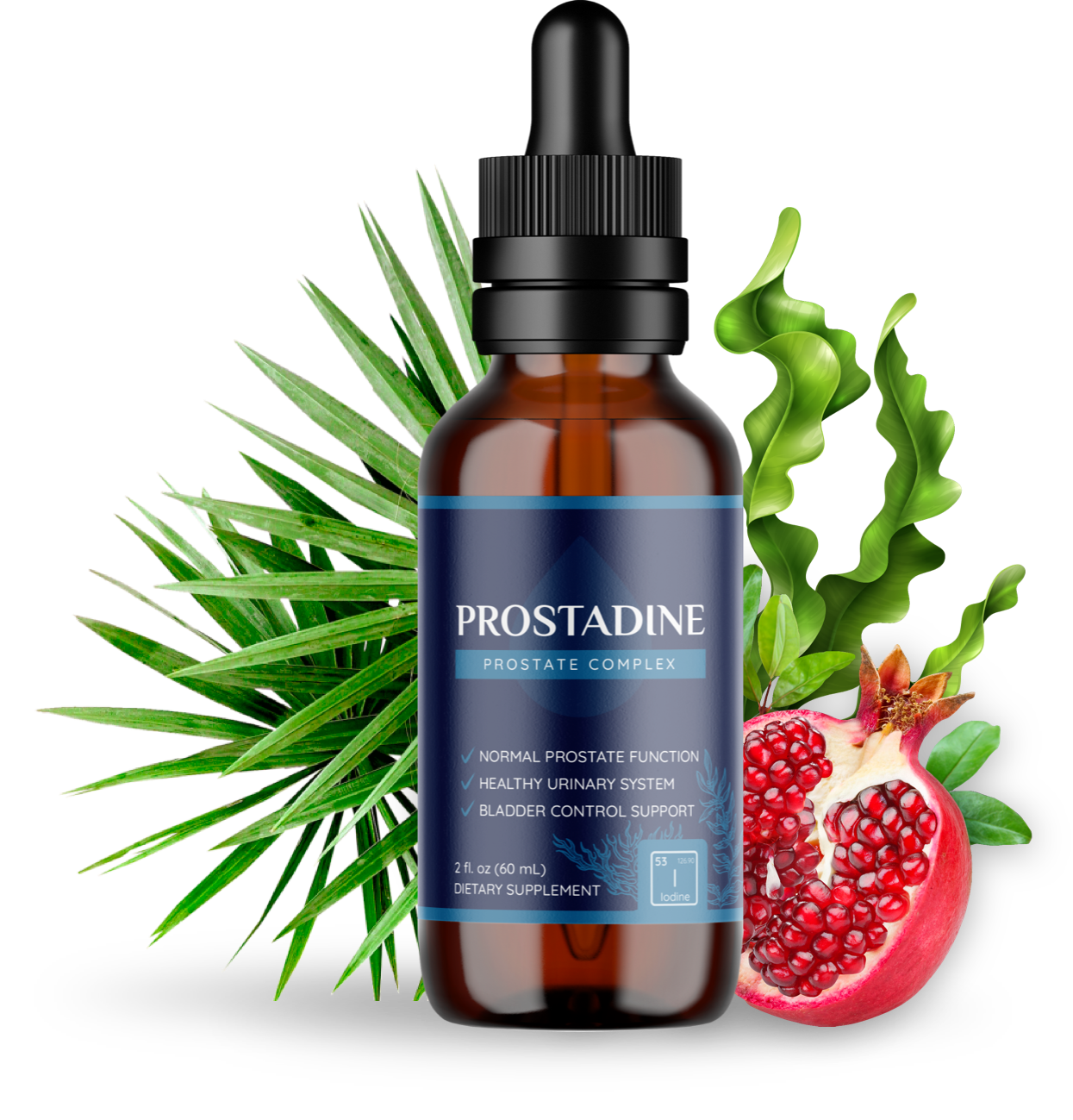 Prostadine Logo